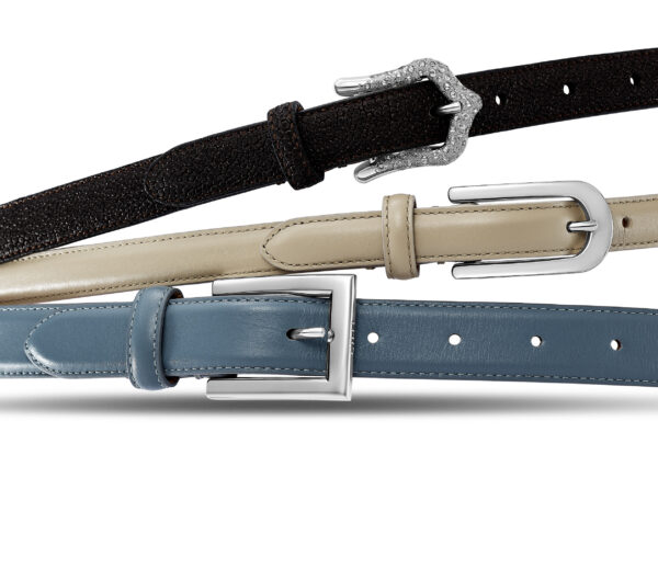 Cinture con Fibbie in Argento