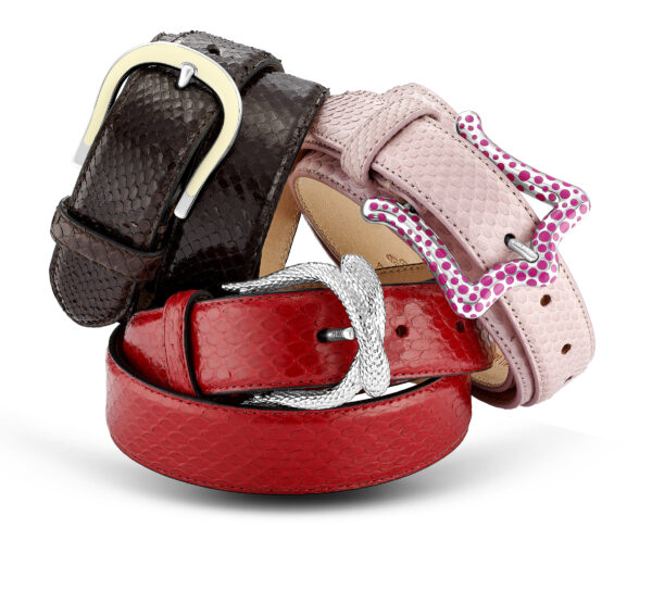 Cinture con Fibbie in Argento 2